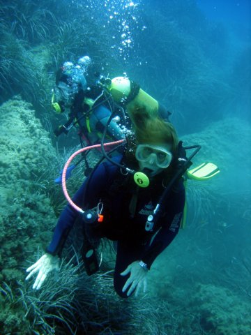 Photograph