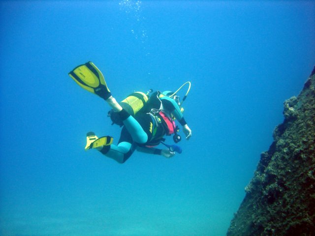 Photograph
