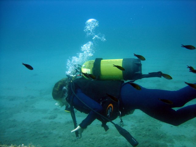 Photograph