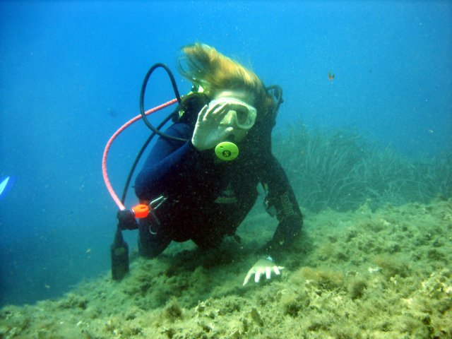Photograph
