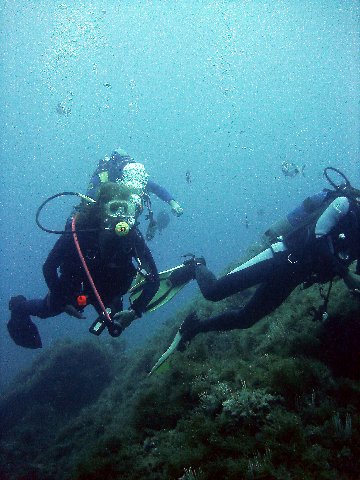 Photograph