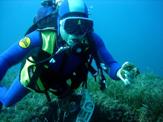 Photograph
