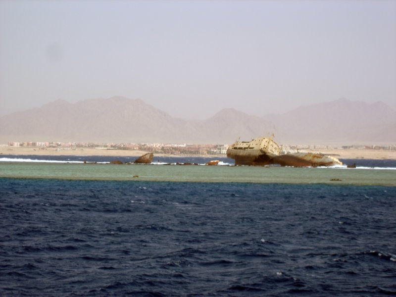 dsc05123.jpg