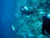 dsc05130_small.jpg