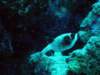 dsc05131_small.jpg