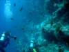 dsc05134_small.jpg