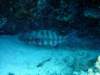 dsc05136_small.jpg
