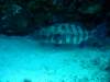 dsc05137_small.jpg