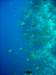 dsc05138_small.jpg