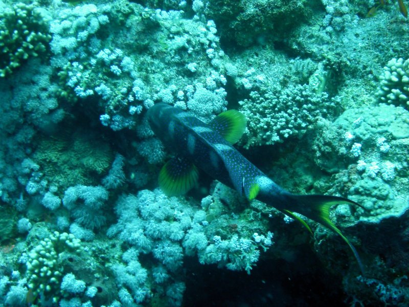 dsc05139.jpg