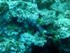 dsc05139_small.jpg
