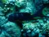 dsc05140_small.jpg