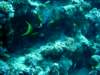 dsc05141_small.jpg