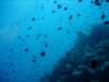 dsc05143_small.jpg