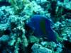dsc05144_small.jpg