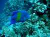 dsc05145_small.jpg