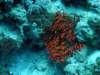 dsc05147_small.jpg