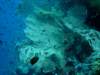 dsc05148_small.jpg