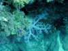 dsc05150_small.jpg