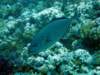 dsc05152_small.jpg