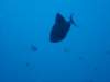 dsc05155_small.jpg