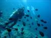 dsc05156_small.jpg