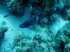 dsc05158_small.jpg