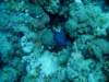 dsc05159_small.jpg
