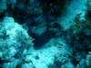 dsc05161_small.jpg