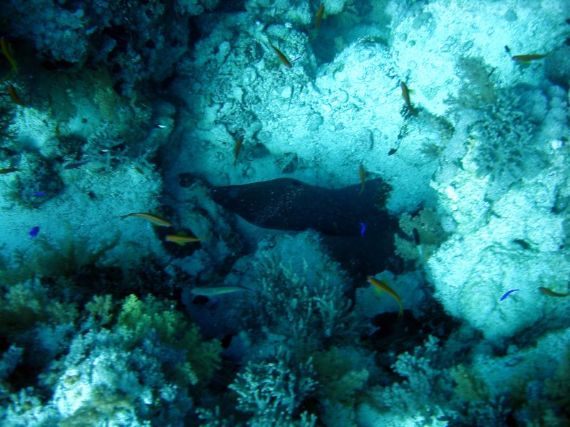 dsc05163.jpg