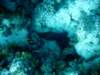 dsc05163_small.jpg