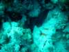 dsc05164_small.jpg