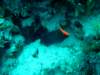 dsc05165_small.jpg