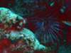 dsc05167_small.jpg
