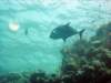 dsc05173_small.jpg