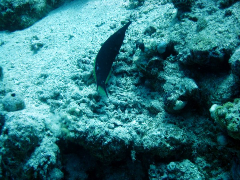 dsc05175.jpg