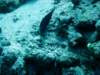 dsc05175_small.jpg
