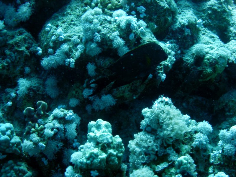 dsc05176.jpg