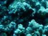 dsc05176_small.jpg