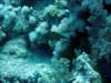 dsc05177_small.jpg