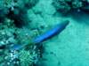 dsc05178_small.jpg
