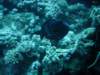 dsc05181_small.jpg