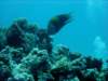 dsc05182_small.jpg