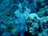 dsc05184_small.jpg