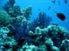 dsc05185_small.jpg
