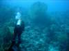 dsc05187_small.jpg
