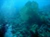 dsc05188_small.jpg
