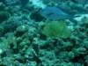 dsc05191_small.jpg