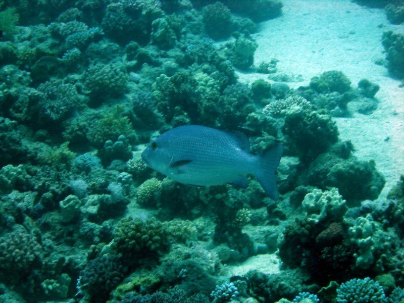 dsc05192.jpg