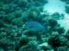 dsc05192_small.jpg